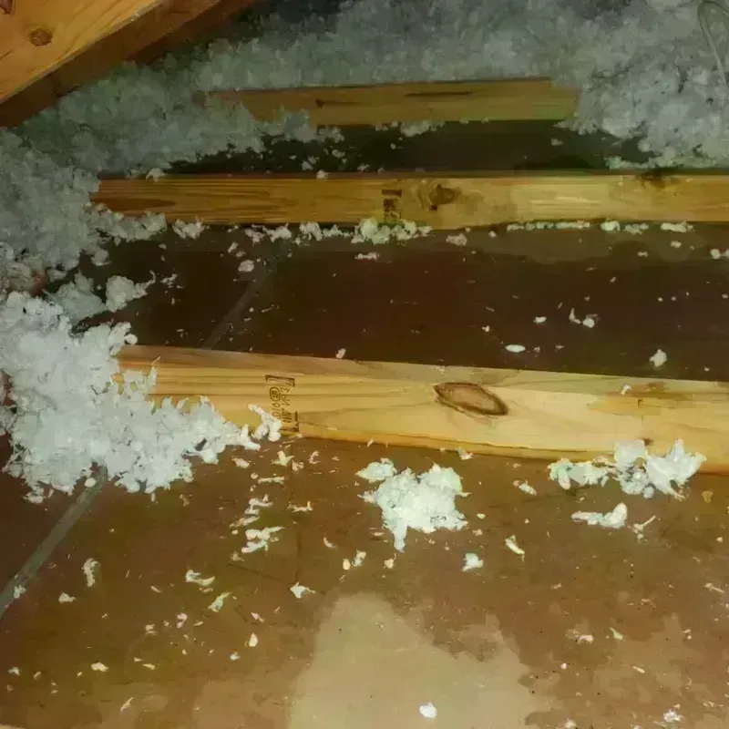 Attic Water Damage in Mount Pleasant, TX